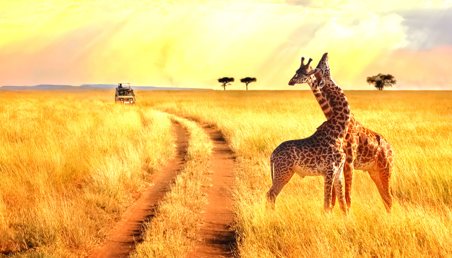 Tanzania Tour Packages