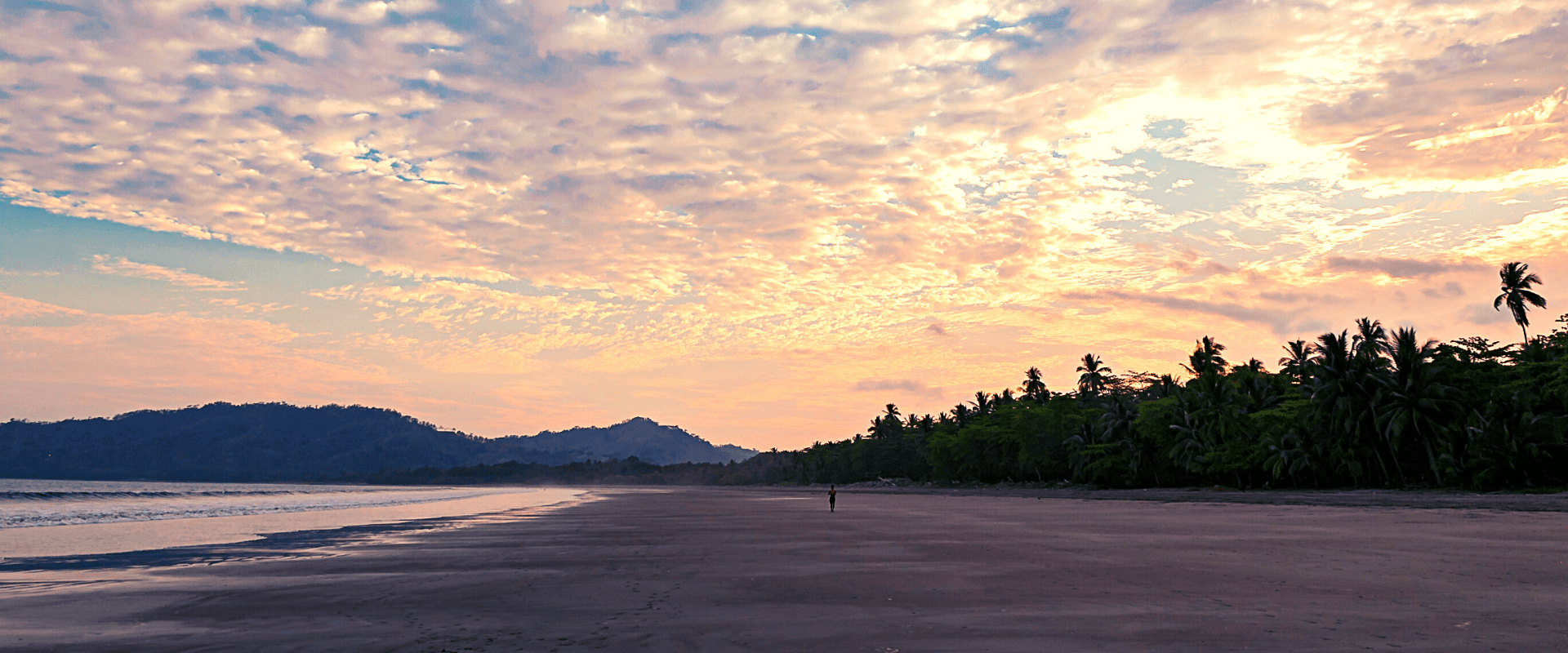 Explore Beautiful Costa Rica (Playa Tambor)