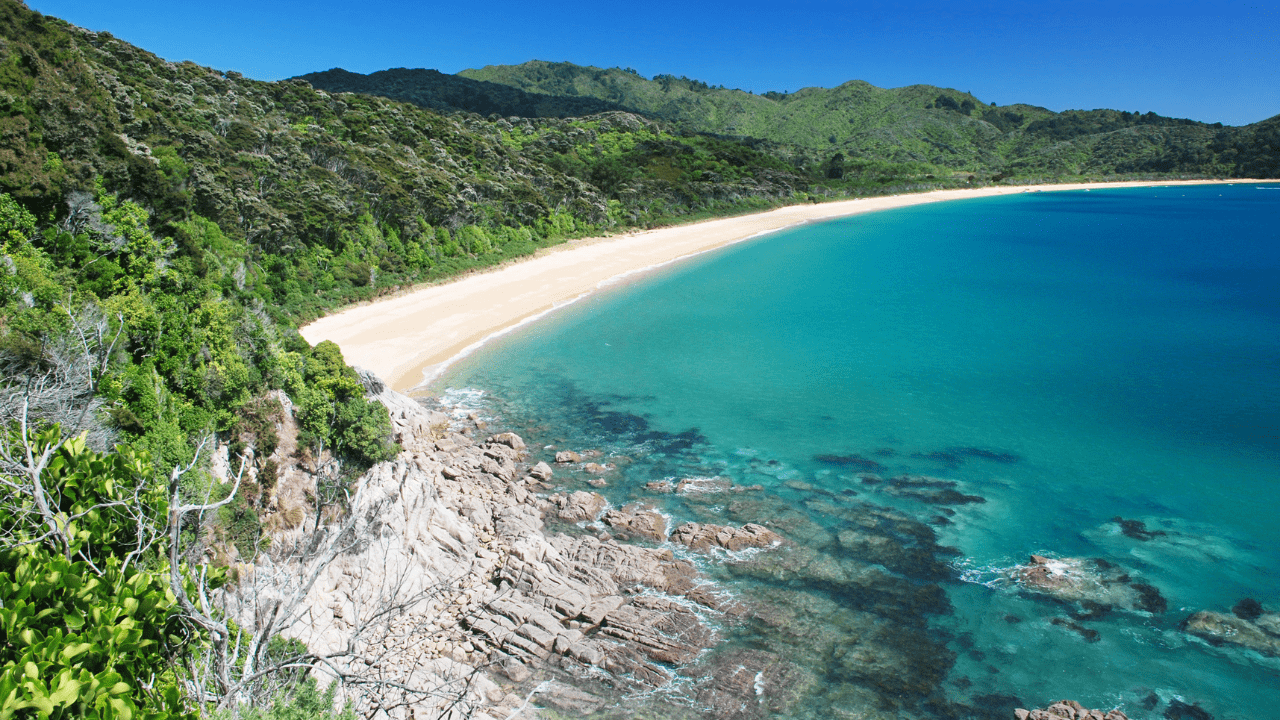 South Island Special New Zealand