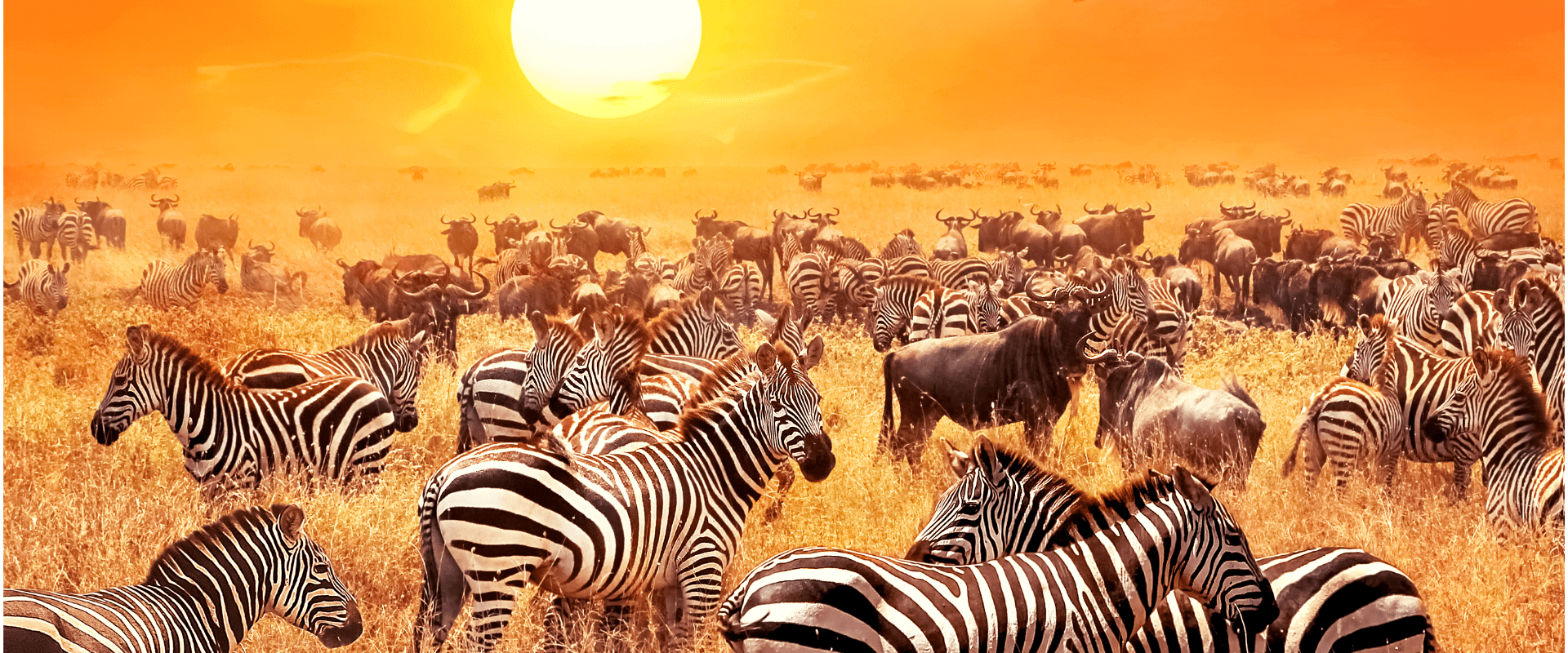 Tranquil Beauty Botswana Safari Tour